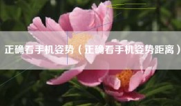 正确看手机姿势（正确看手机姿势距离）