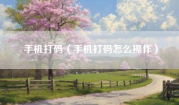 手机打码（手机打码怎么操作）