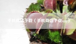 手机商店下载（手机商店下载app）