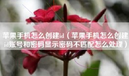 苹果手机怎么创建id（苹果手机怎么创建id账号和密码显示密码不匹配怎么处理）