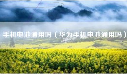 手机电池通用吗（华为手机电池通用吗）