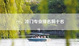 一、冷门专业排名前十名