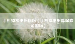 手机掉水里保修吗（手机掉水里算保修范围吗）