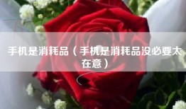 手机是消耗品（手机是消耗品没必要太在意）