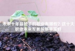 未来十年最抢手的职业有哪些？这十大职业未来发展前景非常好