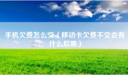 手机欠费怎么交（移动卡欠费不交会有什么后果）