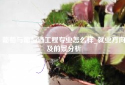葡萄与葡萄酒工程专业怎么样_就业方向及前景分析