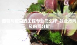 葡萄与葡萄酒工程专业怎么样_就业方向及前景分析