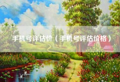 手机号评估价（手机号评估价格）