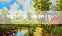手机号评估价（手机号评估价格）