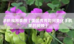 手机视频美图（美图秀秀如何美化手机里的视频）