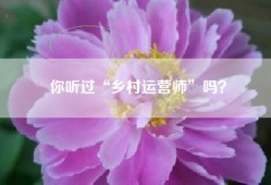 你听过“乡村运营师”吗？