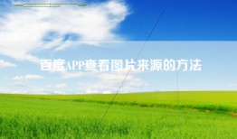 百度APP查看图片来源的方法