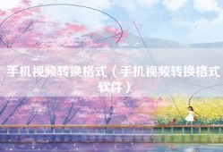 手机视频转换格式（手机视频转换格式软件）