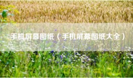 手机屏幕图纸（手机屏幕图纸大全）