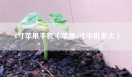6寸苹果手机（苹果6寸手机多大）