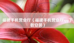 福建手机营业厅（福建手机营业厅app下载安装）