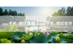 oppo手机u调试在哪（oppo手机u调试在什么地方）