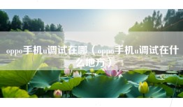 oppo手机u调试在哪（oppo手机u调试在什么地方）