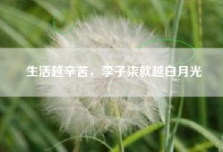 生活越辛苦，李子柒就越白月光