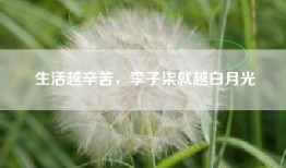 生活越辛苦，李子柒就越白月光