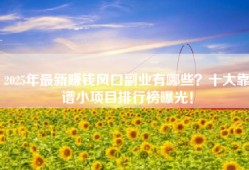 2025年最新赚钱风口副业有哪些？十大靠谱小项目排行榜曝光！