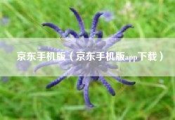 京东手机版（京东手机版app下载）