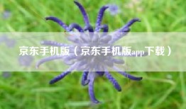 京东手机版（京东手机版app下载）