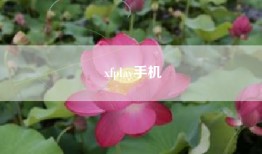 xfplay手机