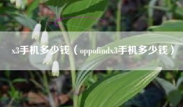 x3手机多少钱（oppofindx3手机多少钱）