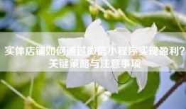 实体店铺如何通过微信小程序实现盈利？关键策略与注意事项