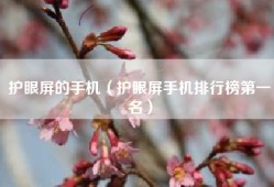 护眼屏的手机（护眼屏手机排行榜第一名）