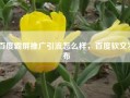 百度霸屏推广引流怎么样，百度软文发布