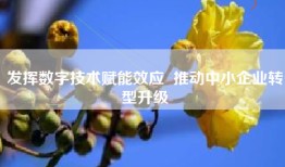 发挥数字技术赋能效应  推动中小企业转型升级