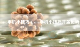 vivo手机小技巧（vivo手机小技巧开盖接听）