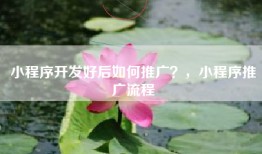 小程序开发好后如何推广？，小程序推广流程