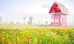 手机按揭（手机按揭贷款）