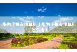 华为手机专用耳机（华为手机专用耳机怎么用）