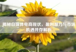 揭秘自媒体电商现状，盈利潜力与市场机遇并存解析