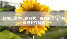 揭秘自媒体电商现状，盈利潜力与市场机遇并存解析