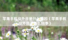 苹果手机没外音是什么原因（苹果手机没外音了怎么回事）