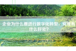 企业为什么要进行数字化转型，究竟有什么好处？