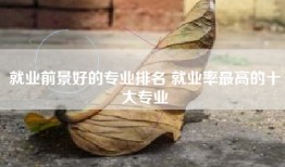 就业前景好的专业排名 就业率最高的十大专业