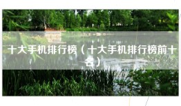 十大手机排行榜（十大手机排行榜前十名）