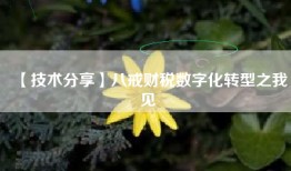 【技术分享】八戒财税数字化转型之我见