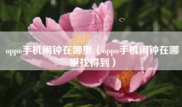oppo手机闹钟在哪里（oppo手机闹钟在哪里找得到）
