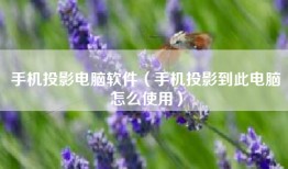 手机投影电脑软件（手机投影到此电脑怎么使用）