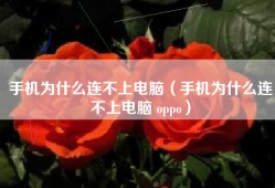 手机为什么连不上电脑（手机为什么连不上电脑 oppo）