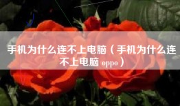 手机为什么连不上电脑（手机为什么连不上电脑 oppo）