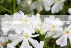 手机拍照软件哪个好（手机拍照软件哪个好看）